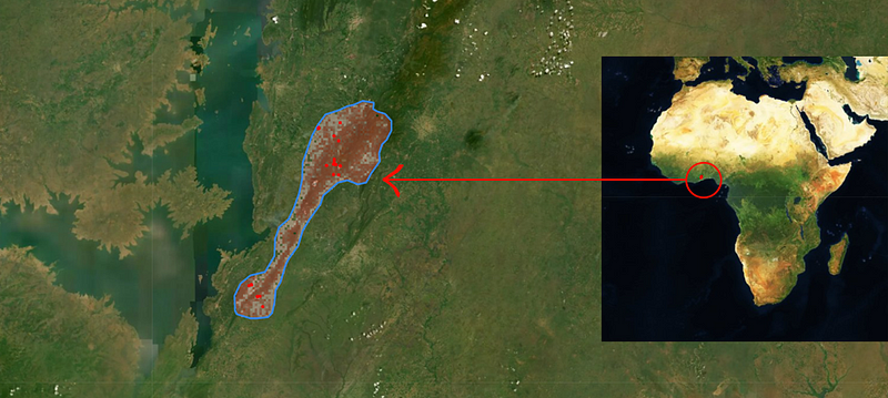 Images taken from the Carbon Collectible NFT Sat Nav app.