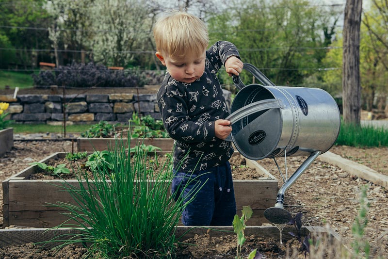 Composting, Cover Crops, and Carbon Sequestering