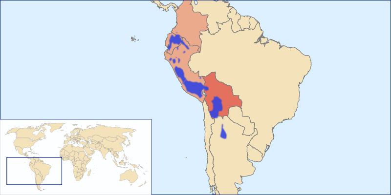 Lenguas quechuas. En azul, lengua nativa; en rojo fuerte, lengua oficial, en rojo débil, lengua cooficial/regional.