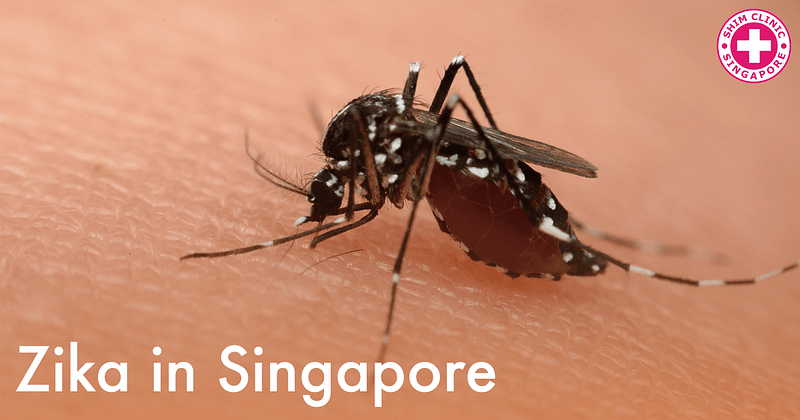 zika-in-singapore-std