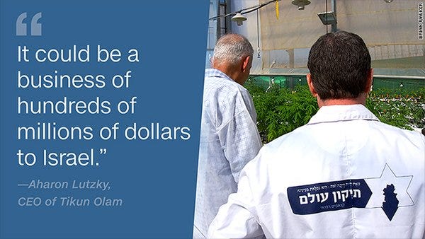 Is cannabis Israel's next big medical export?
