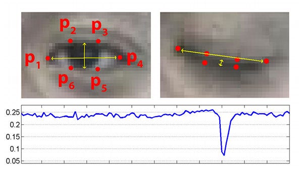 Quick, Draw 🖌️ 🖼️. Can a neural network learn how to…, by Akshay Bahadur  👨‍🚀