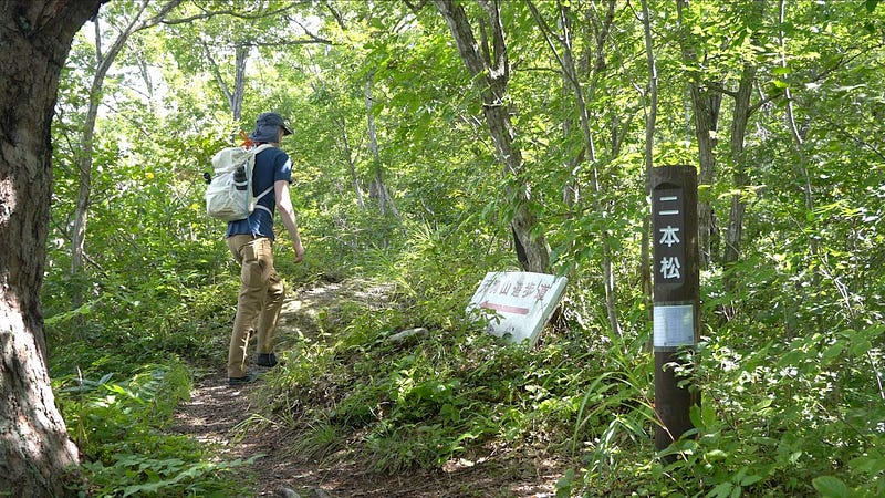 Tim Bunting AKA Kiwi Yamabushi walks amongst the forests of Tengu-yama passing the Nihon Matsu, the couple of pine trees.