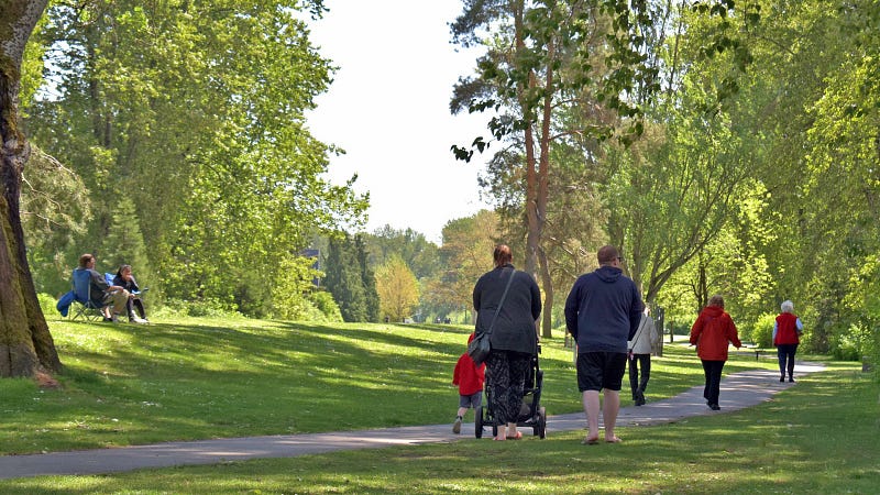 Park with people during the day