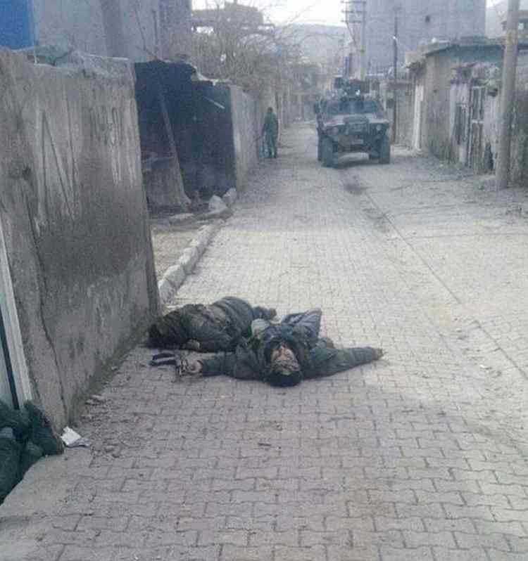 cizresokaklari1