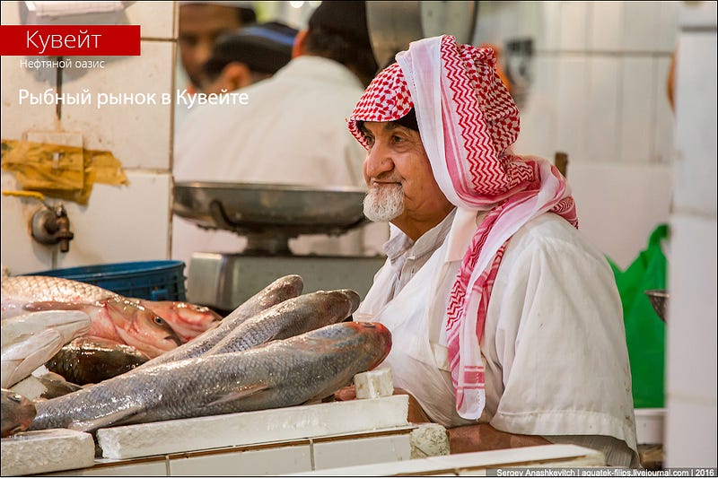 Kuwait Fishmarket / Рыбный рынок в Кувейте