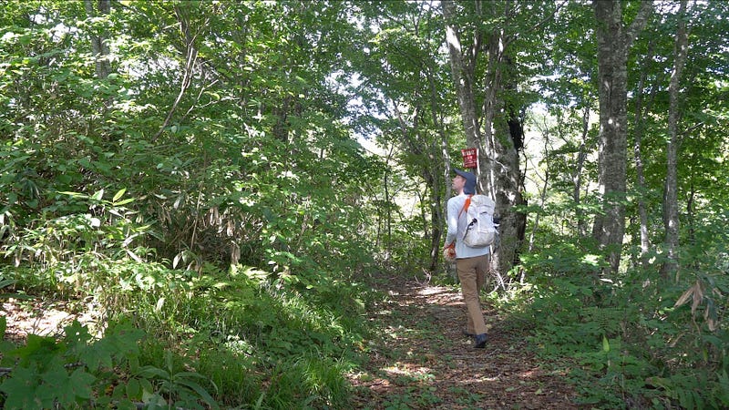 Tim Bunting Kiwi Yamabushi hiking amongst the deep forests of Daizumori-yama.