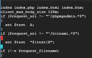 insert client_max_body_size to nginx-app.conf