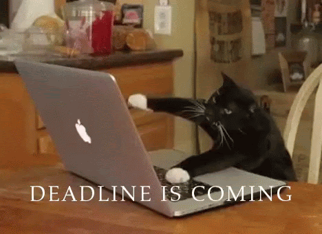 Funny GIF on deadline