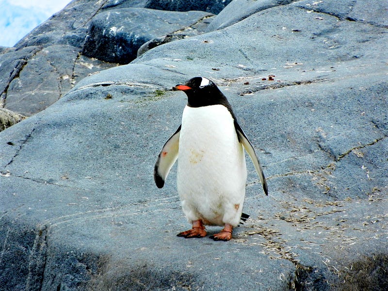 Linux: Rename a file appending a timestamp one-liner