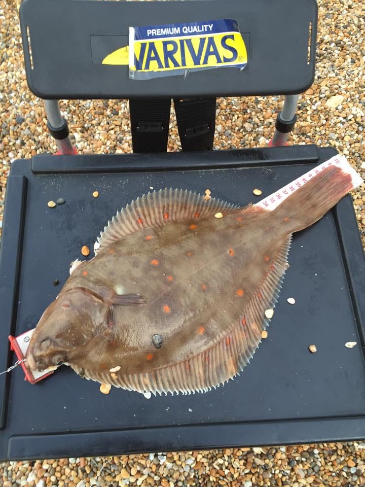 13886400_551811915027345_8195004659296264932_n