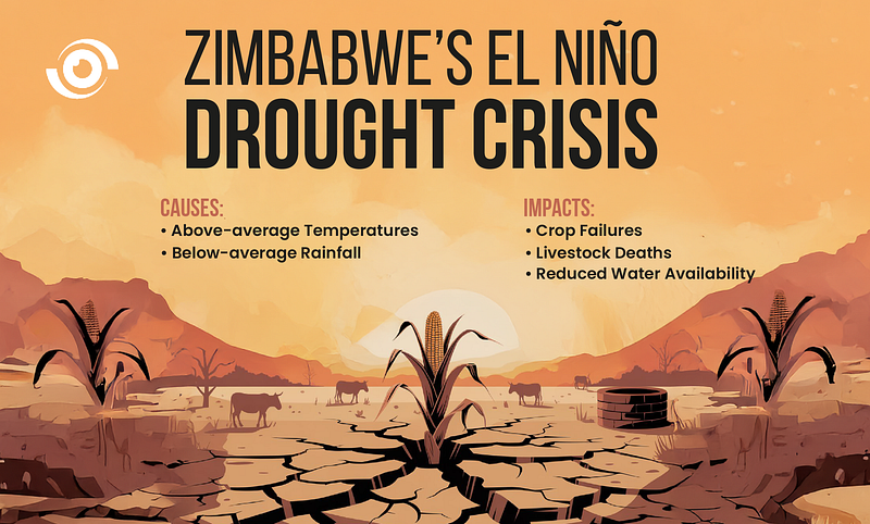 Zimbabwe Families Turn the Tide on Early Malnutrition Detection and Treatment Amidst Devastating Droughts