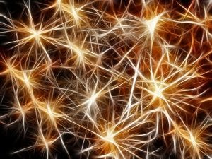 Phenylpiracetam review