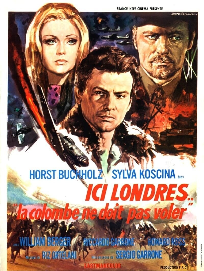 La colomba non deve volare (1970) | Poster