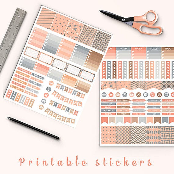 Peach And Silver Planner Stickers