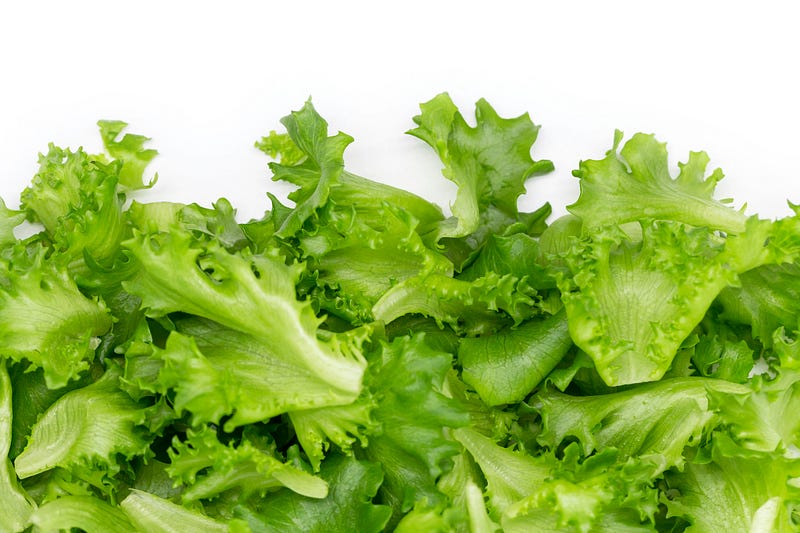 Lettuce in close up. Lettuce is part of a low FODMAP diet.