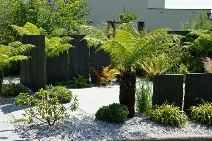 moderne-gartengestaltung-und-schöne-bepflanzun