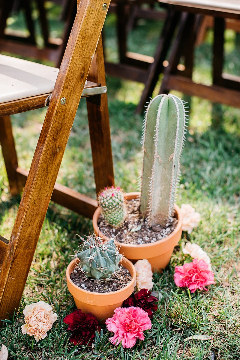 cactus wedding decor - http://ruffledblog.com/fiesta-inspired-san-diego-wedding