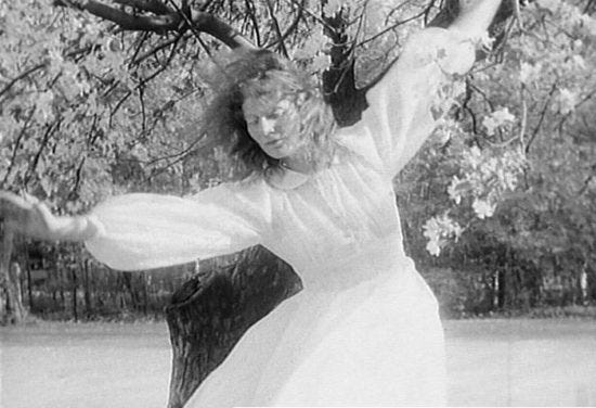 sybil shearer 2
