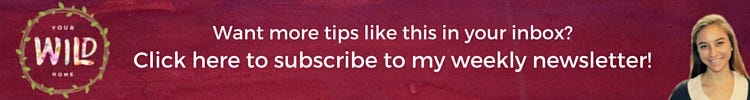 Newsletter Blog Sign Up