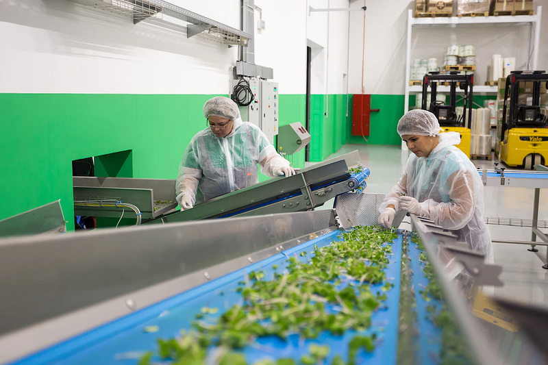 factory workers operating inside the factory