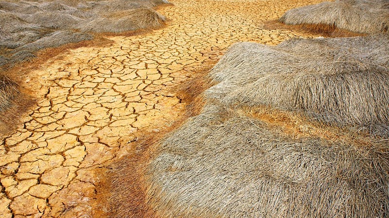 drought