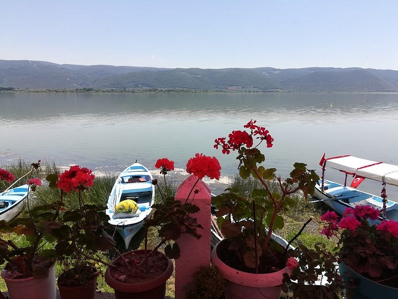 Gölyazı Manzarası