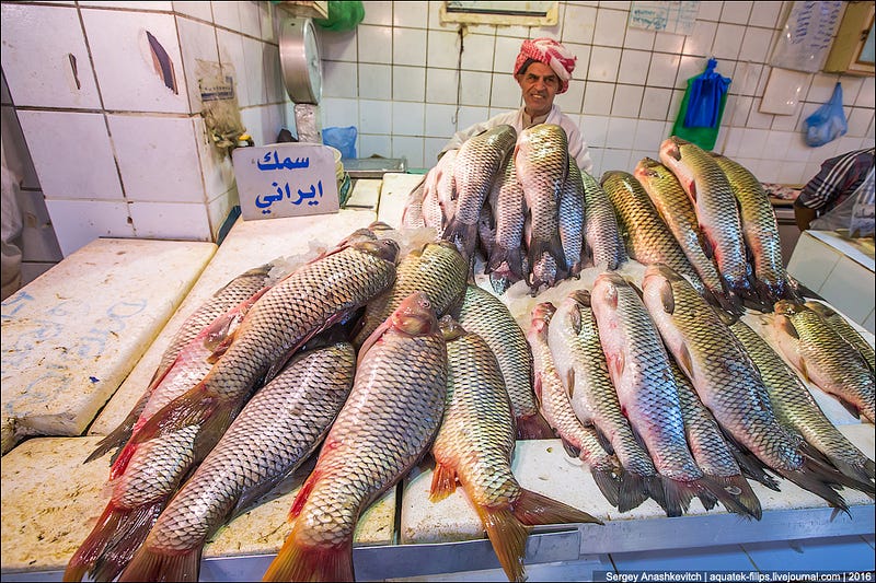 Kuwait Fishmarket / Рыбный рынок в Кувейте