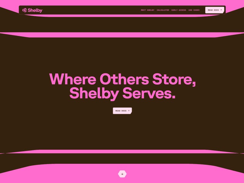 Shelby website hero with bold pink typography on dark brown background and headline “Where Others Store, Shelby Serves.”