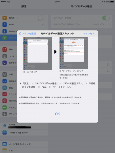 AppleSIM00016