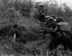 A group of soldiers in tall grass. 