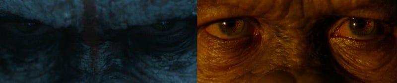 How To Create Striking First and Final Frames in Your Film – Dawn of the Planet of the Apes