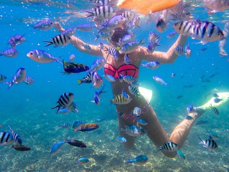 Snorkelling Tours