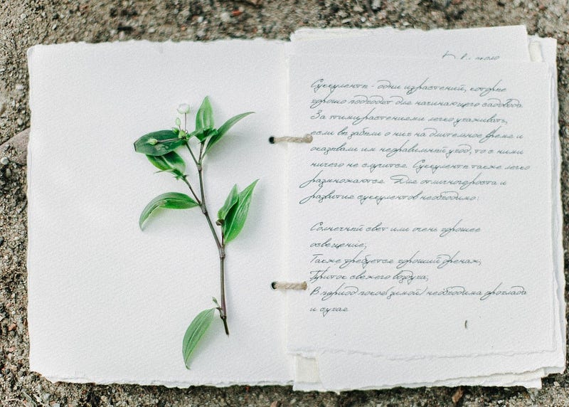 Ошибки невест при планировании свадьбы: топ-10