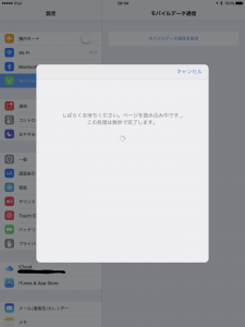 AppleSIM00003