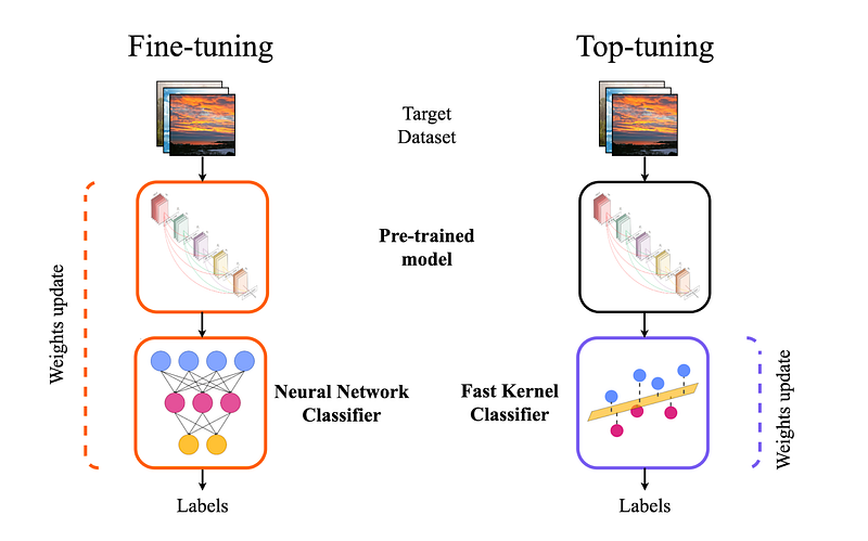 A visual representation of the AI model development process, highlighting the efficiency gained by using foundation models.