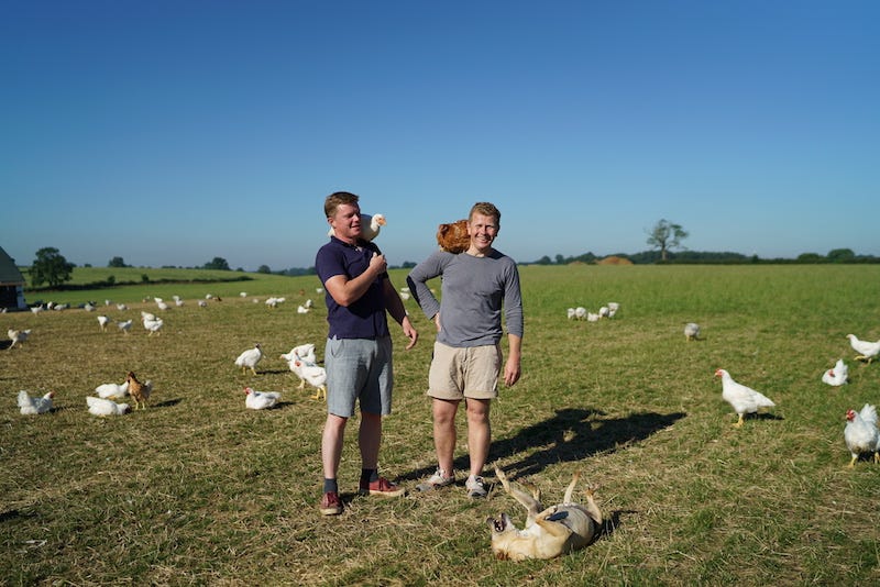Slow-grown chicken farmers Nick & Jacob at their farm, Fosse Meadows. A world away from supermarket chicken