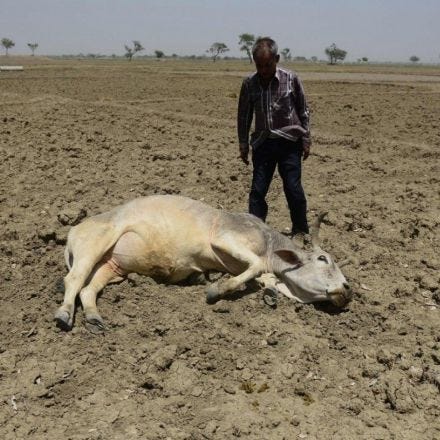 Brutal heat wave in India puts 330 million people at risk