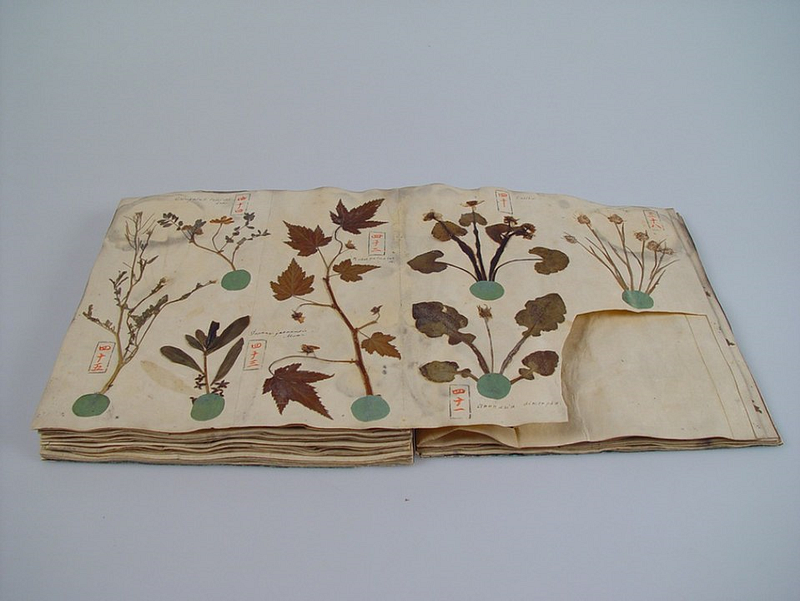 A photo of the Herbarium book