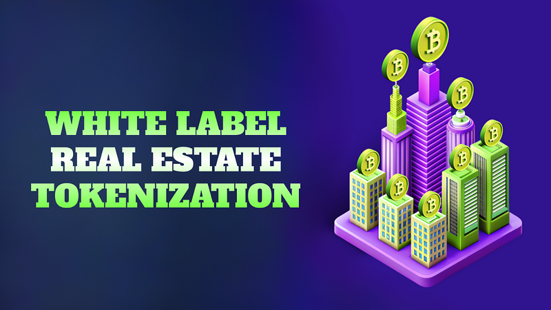 How Can Embracing White Label Real Estate Tokenization Drive Your Success?