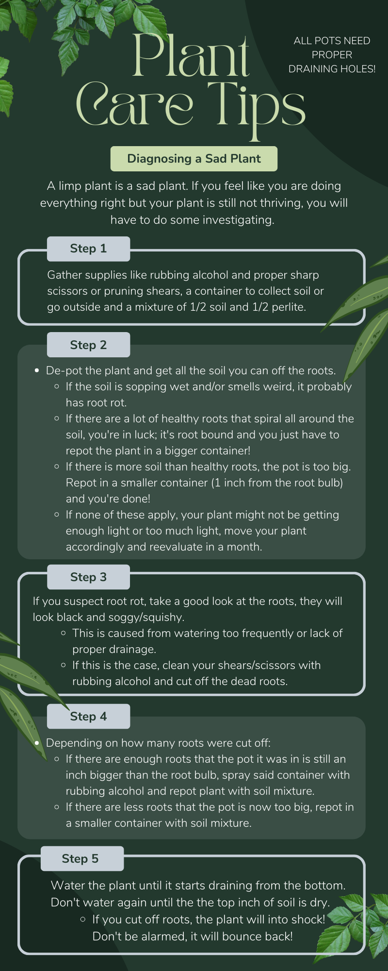 Plant care tips — Diagnosing a sad plant infographic.