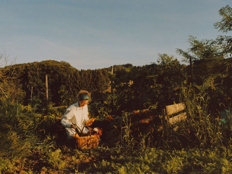 A woman works in a garden.