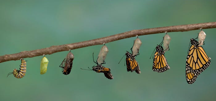 Reader Question: Is a character’s transformation dictated by events or reactions to them?
