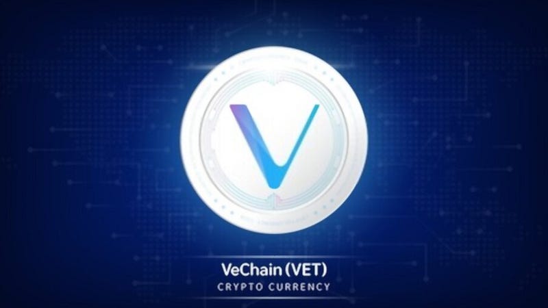 VeChain Blockchain: An Beginner Friendly Guide On VeeChain Blockchain