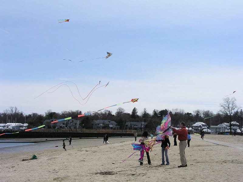 numerous kids and accompanying grownups fly colorful animal-shaped kites at the beach