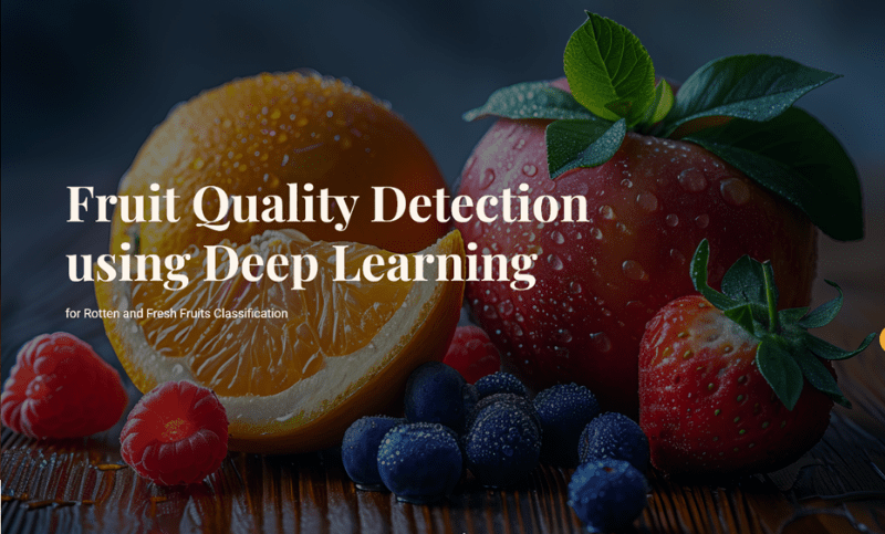How I Built a Fruit Freshness Detector Using Deep Learning — From Scratch
