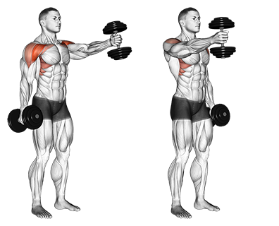 🚨 SHOULDER WORKOUT PROGRAM GUIDE ✓ Your Shoulder Muscles Ok, so we can't  start to build up the muscles…