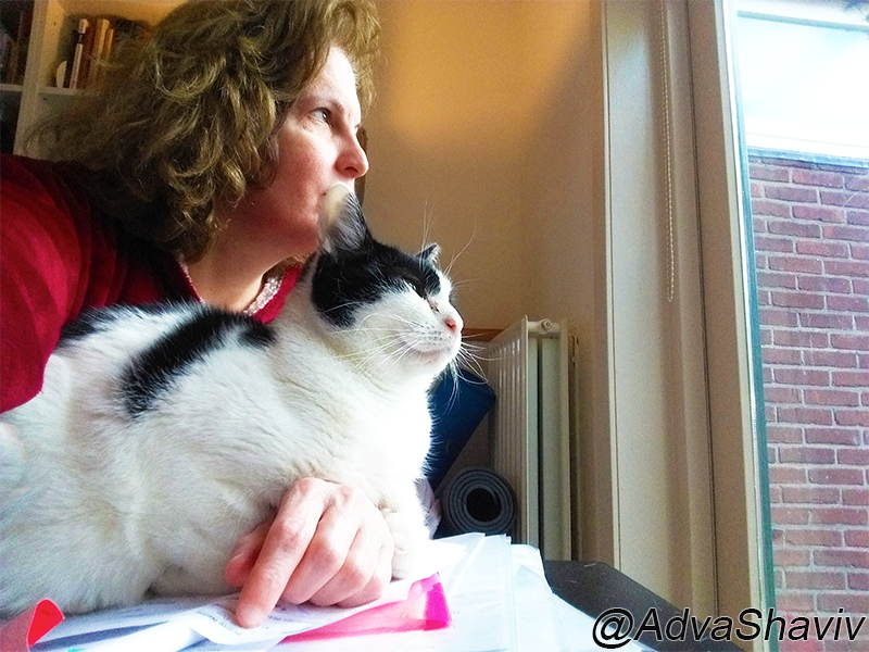 The author resting her hand on papers, a cat resting on her hand, both looking aside through a window.