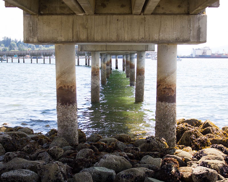 photo under bridge in Bellingham