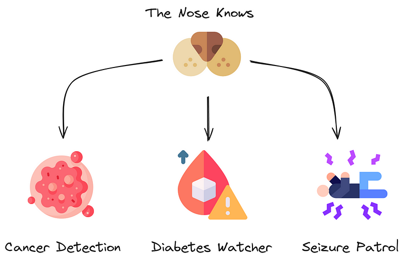 An infographic titled "The Nose Knows" depicting a dog's nose at the top, branching out to three icons below: "Cancer Detection" with an image of cancer cells, "Diabetes Watcher" with an image of a blood drop and warning sign, and "Seizure Patrol" with an image of a person experiencing a seizure.